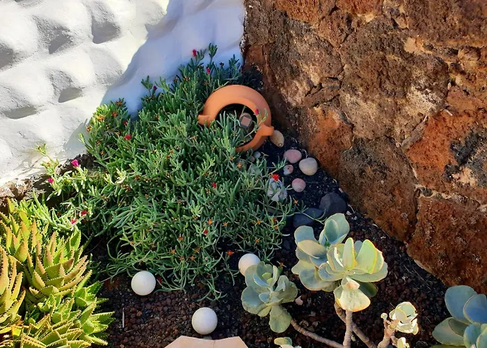 Casa Lirio Costa Calma