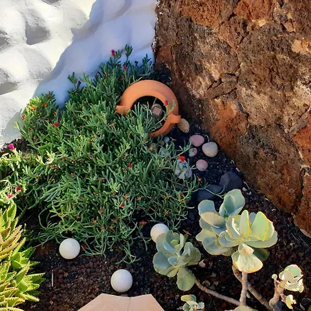 Casa Lirio Costa Calma