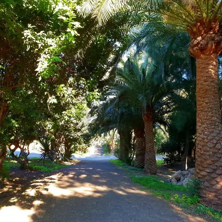 Lägenhet Casa Lirio Costa Calma