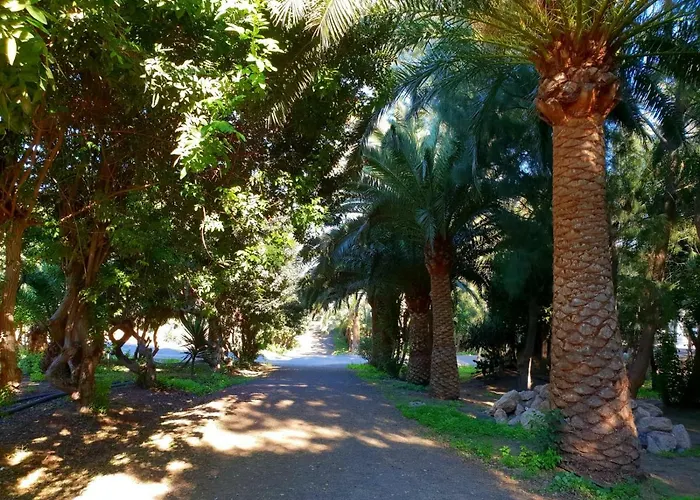 Apartamento Casa Lirio Costa Calma